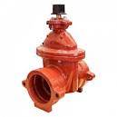 23SERIES 1 RESILIENT WEDGE GATE VALVE - Royal Electric