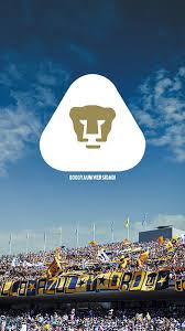 La selección argentina de rugby, los pumas, es hasta el mundial de 2019 una de las once selecciones de rugby, que forma el selecto grupo de equipos que han participado en todas las citas mundiales disputadas hasta el momento junto a: Escudo Pumas Esports Hd Mobile Wallpaper Peakpx