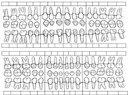 Patient Dental Chart Sample Www Bedowntowndaytona Com