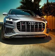 Image result for Vicuna Beige 2022 SQ8