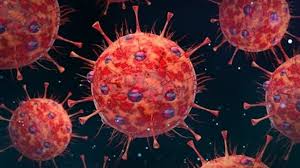HMPV Virus In Lucknow - लखनऊ तक पहुंचा HMPV वायरस! 60 साल की महिला में मिले  लक्षण, बलरामपुर अस्पताल में भर्ती - hmpv virus case increased lucknow woman  hospitalized after symptoms lclr - AajTak