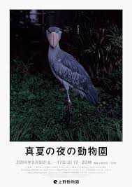 Pin Von Burusu Huang Auf Typography Fonts The Zoo