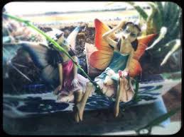 Ramon Grau Director Of Photography Historias De Hadas Y Elfos Cortijo La Ribera Hadas Elfo Historia