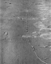 Bildergebnis für Maria Laet