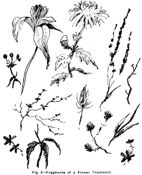 Petroleum and natural gas came mainly from microscopic organisms such as algae. Drawing Flowers Plants Weeds And Leaves With Drawing Lessons Step By Step Techniques Tutorials For How To Draw Nature Cartoons Illustrations