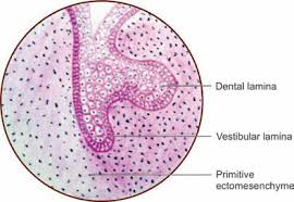 We did not find results for: Jaypeedigital Ebook Reader