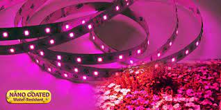 Led strip grow lights canada. Nano Coated Led Grow Strip Light Hh2835p 60 24 5m Led World Canada