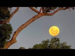 남인수 추억의 소야곡 南仁樹 nam in soo remindful serenade 1955 full moon rising moon rise full moon