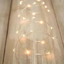 Galvanized steel 60 ft cable with 1 attached snap hook and 1 loose cable clip (to grip looped end). Led Fairy Lights 10 Foot Silver Wire 60 Leds Warm White Led Fairy Lights Fairy Lights Vase With Lights