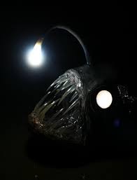 Angler Fish Deep Sea Fish Etsy In 2020 Deep Sea Animals Angler Fish Deep Sea
