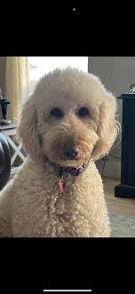 I just wanted to show off the hidden camera that's not so hidden