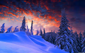 Winter Christmas Wallpaper Widescreen Follow the vibe and change your wallpaper every day! nvidia wallpaper 1920x1080 hd wallpapersafari computer wallpaper computer photo computer wallpaper hd