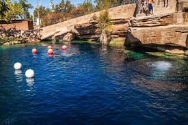 Check out lindale's sign war. Dive Into Five Of The World S Deepest Freshwater Swimming Holes Travel Smithsonian Magazine