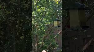 High school, college/university, master's or phd, and we will assign you a writer who can satisfactorily meet your professor's expectations. Iml Cdkop Oyvm