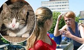 We have two cats of our own. Why Cats Go Next Door The Reason Your Pet Always Chooses The Neighbour S Garden As A Convenience Daily Mail Online