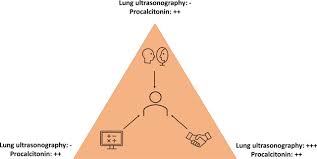 Exploration of the Acceptance of the Use of Procalcitonin Point-of-Care  Testing and Lung Ultrasonography by General Practitioners to Decide