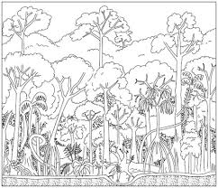 Identify the locations of tropical rainforests. Tropical Rainforests Geographyalltheway Com