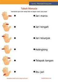 Pin Di Jari