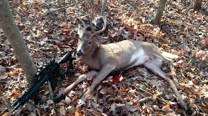 The barnes tsx bullet is made of 100% copper and contains no lead. 223 Whitetail Deer Hunting Round Recommendations Ar15 Com
