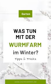 Die Wurmfarm Im Winter Kompostwurmer Warm Halten Wurmfarm Wurmkiste Tipps