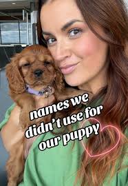 King Charles Cavalier Spaniel Names