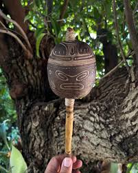 Image result for Manilkara sansibarensis