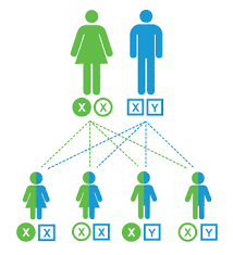 Bebek neden bu kadar asagida normal mi kadinlar kulubu. Cinsiyet Secimi Kibris Tup Bebek
