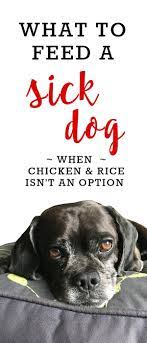 For instance, dogs with kidney failure or liver failure may have nausea and a lack of appetite. What To Feed A Sick Dog When Chicken And Rice Isn T An Option Kol S Notes