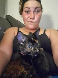 Found kitten in Putra Indah