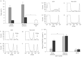 The induction and maintenance of a robust memory cd8+ cytotoxic t. Local Effector Failure In Mesothelioma Is Not Mediated By Cd4 Cd25 T Regulator Cells European Respiratory Society