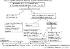 Anemia Of Chronic Kidney Disease Protocol Of Study Management And Referral To Nephrology Nefrologia