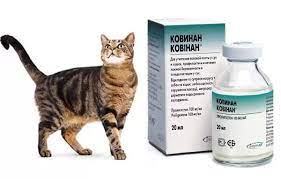 Ковинан (Covinan): описание, особенности, инструкция использования