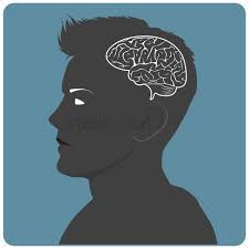Human Head Silhouette With Brain Vector Image 1418850 Stockunlimited Scroll down and check out our silhouette images, pictures, grouped under the category human brain and select and use the best ones for your use in applications involving image designing. human head silhouette with brain vector