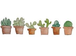 Cactus Cute Laptop Wallpaper Tumblr Computer Backgrounds Laptop Wallpaper