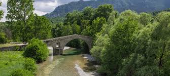 Image result for Grevea