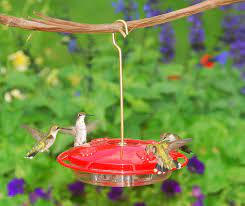 We did not find results for: Amazon Com Aspects 367 Hummzinger Ultra Hummingbird Feeder 12 Ounce 4 Feeding Red Garden Outdoor