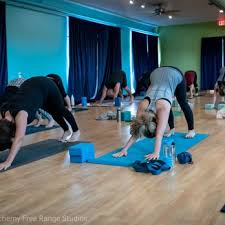 Downward Dog Yoga 11 Photos Yoga 115 5th St Coralville Ia Phone Number Yelp