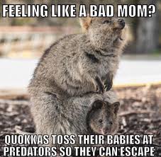 Think You Re A Bad Mom Mommy Humor Mom Humor Bad Mom