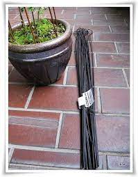 30円のアイアントレリス 苔玉ごろごろ だから苔想 道草めも トレリス クレマチス オベリスク ガーデニング