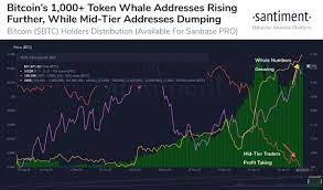I break it down and explain exactly what is going on and. Santiment On Twitter The Whales Of Bitcoin 1 000 Btc Addresses Haven T Stopped Accumulating While The Mid Tier Traders 10 1 000 Btc Haven T Stopped Taking Profit As Its Price Hovers Around 38 000 Meanwhile The