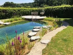 Creative Natural Swimming Pool Design Ideas Pool Research