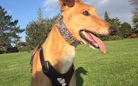 Maybe you would like to learn more about one of these? H6jvotqsmb8eam