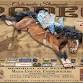 Colorado Stampede
