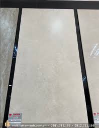 Gạch ốp lát Taicera G12845 60x120 màu sắc tinh tế