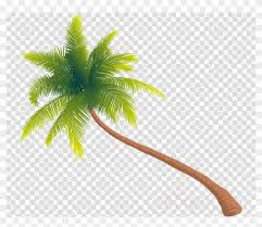 Download Tree Png Gif Clipart Palm Trees Clip Art Tree Transparent Palm Tree Gif 1573714 Pikpng Similar with palm tree border png.