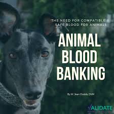 The pet blood bank helps veterinarians around the country save pets' lives by providing transfusion products and training. Animal Blood Banking Biogal