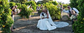 Santa Paula Wedding Limoneira Ranch Wedding Wedding Event Catering