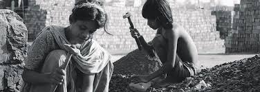 Image result for human right