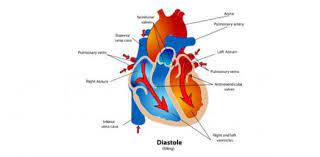Community contributor can you beat your friends at this quiz? Ecg What Do You Know About Cardiac Cycle Trivia Quiz Proprofs Quiz