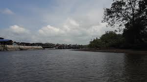 INFORME SOBRE PRESENCIA DE GRUPOS ARMADOS EN COLOMBIA